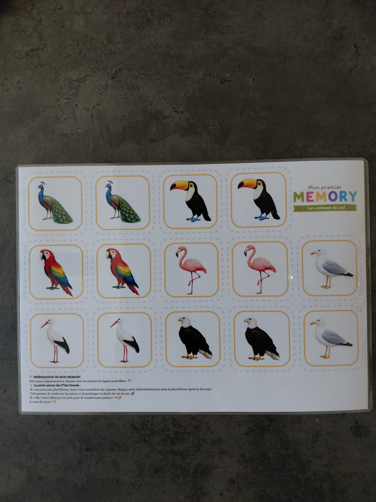 🧠🌈 Mon Premier Memory – Kit à assembler soi-même