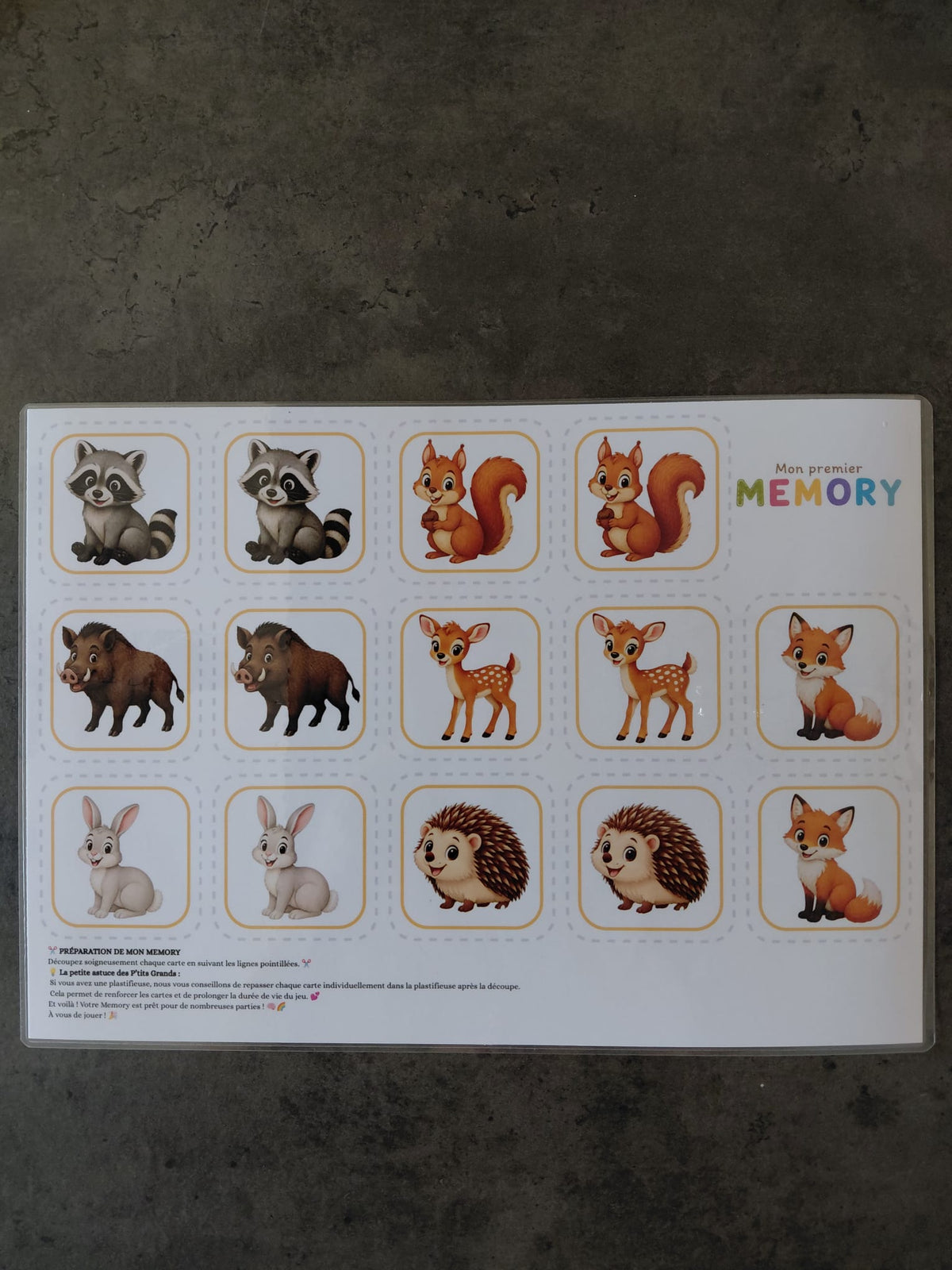 🧠🌈 Mon Premier Memory – Kit à assembler soi-même