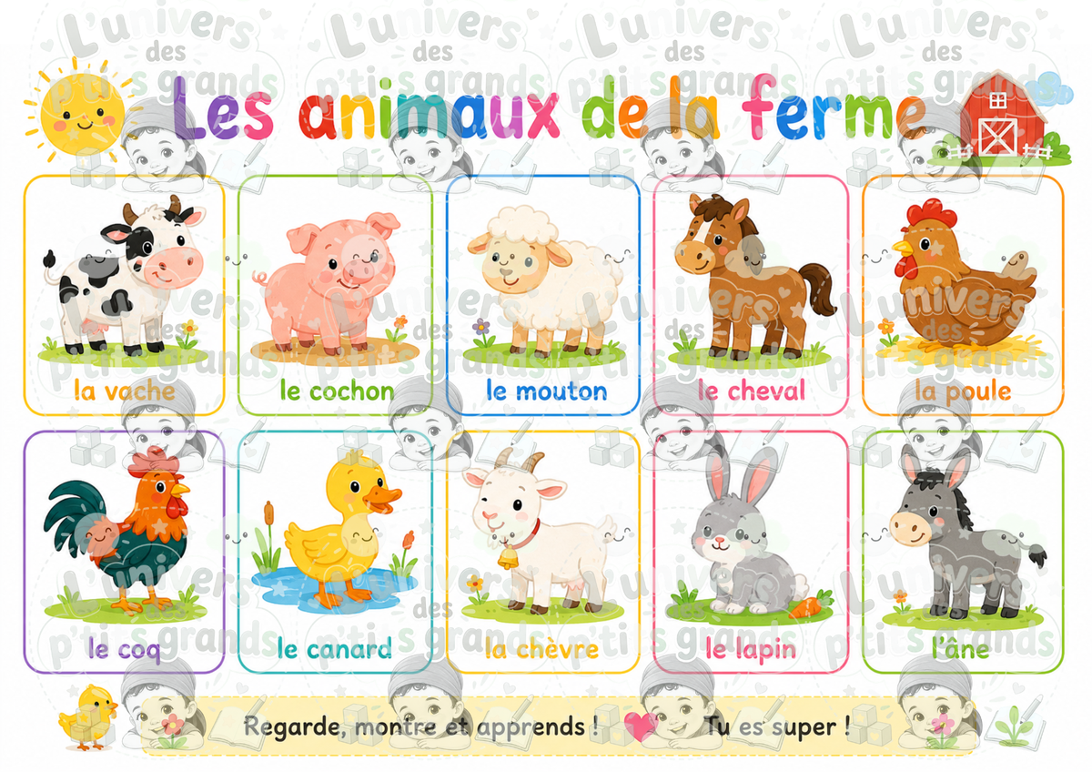 🌈 Mes Premières Découvertes – (Set éducatif plastifié)
